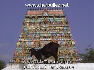 légende: Sri Jambukeshwara temple Tiruchirappalli TamilNadu 04
qualityCode=raw
sizeCode=half

Données de l'image originale:
Taille originale: 118188 bytes
Heure de prise de vue: 2002:03:07 12:20:24
Largeur: 640
Hauteur: 480
